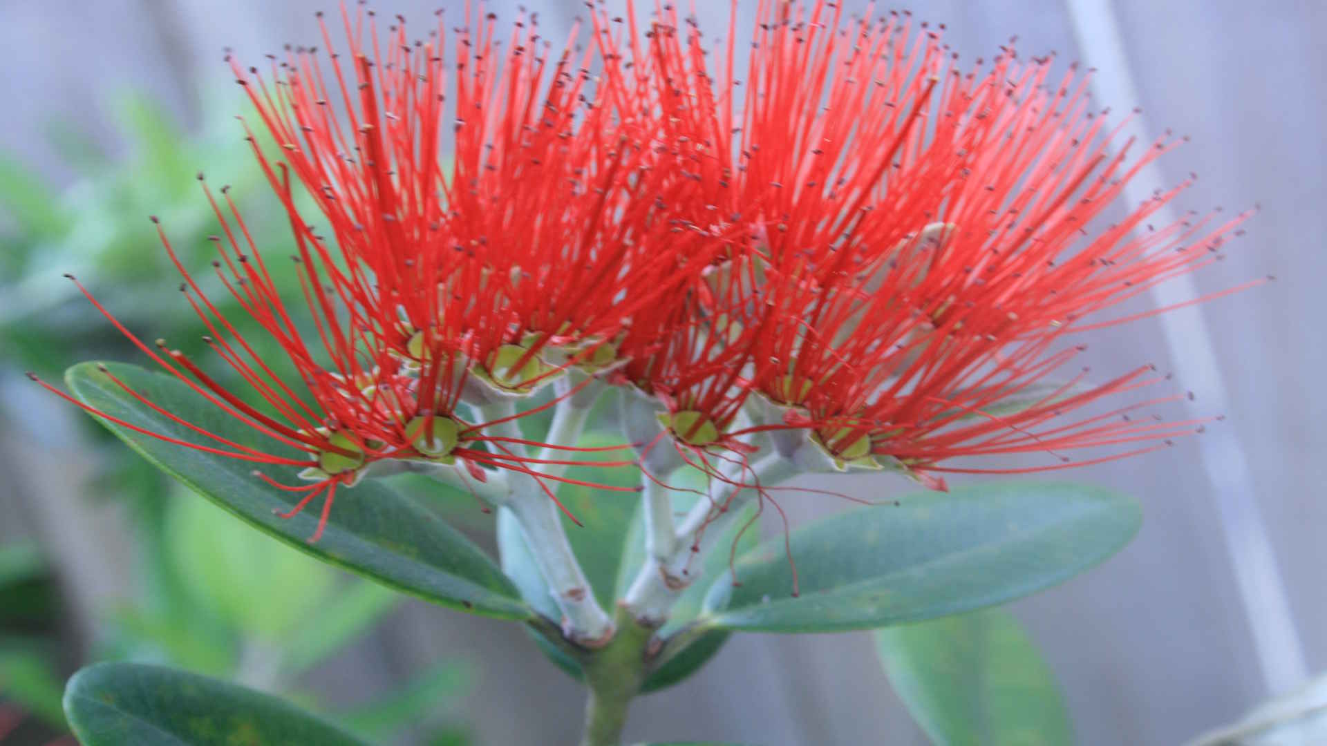 Christian Responsibility